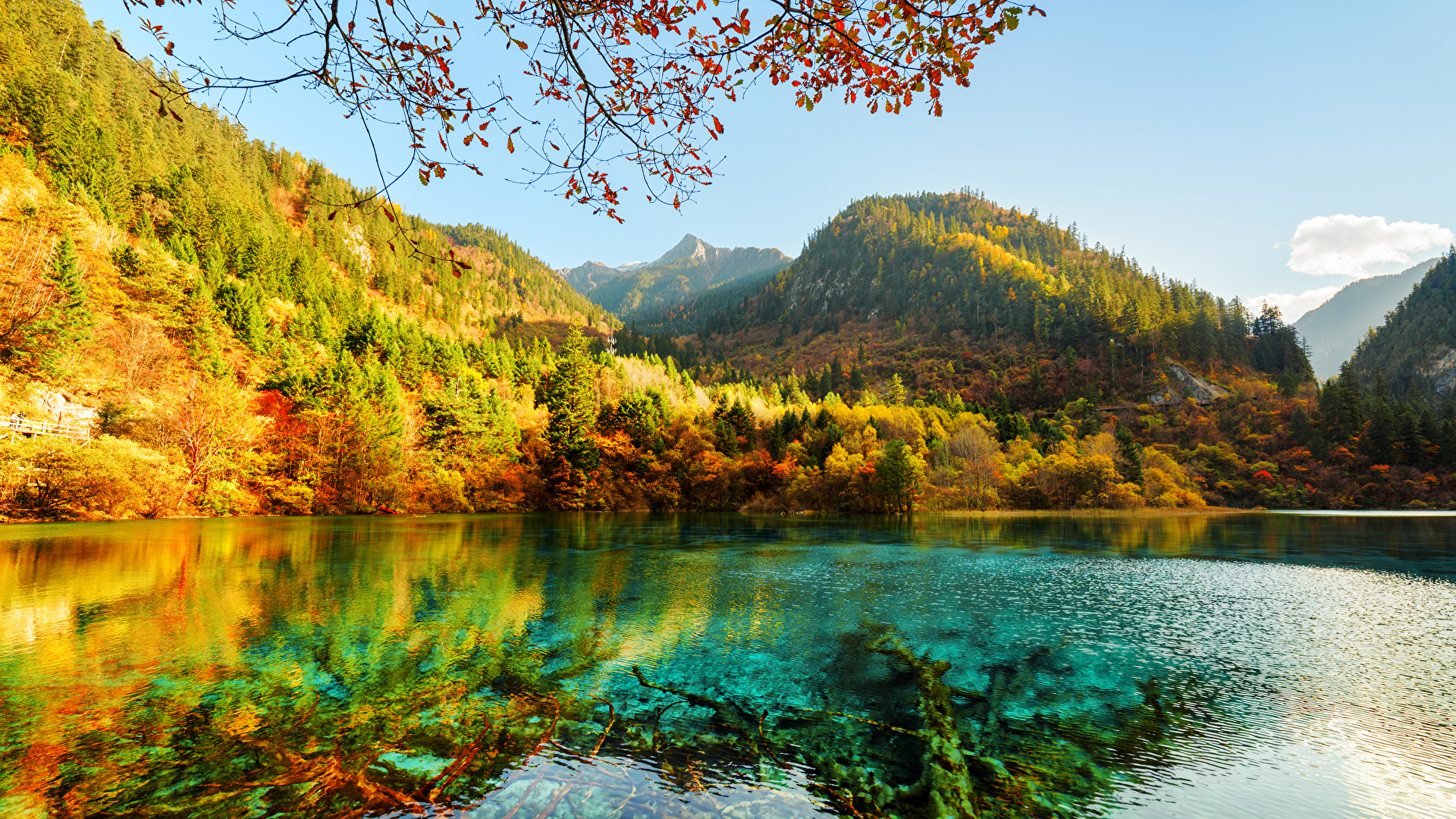 9D8N Glamour Jiuzhaigou ( CCI9 )